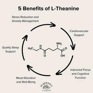 What are the benefits of L-Theanine?