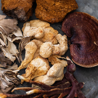 Medicinal Mushrooms: 5 Kinds and Their Health Benefits