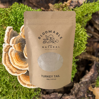 Introducing Our Newest Product: Turkey Tail Mushroom Powder