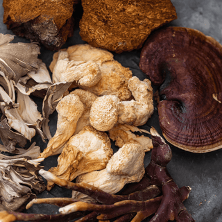 Medicinal Mushrooms: 5 Kinds and Their Health Benefits - Bloomable Natural Products