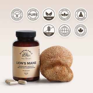 Lion's Mane Mushroom Capsules (120 Capsules)