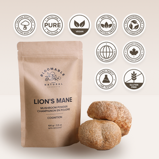 Lion's Mane Mushroom Powder (100 gr)