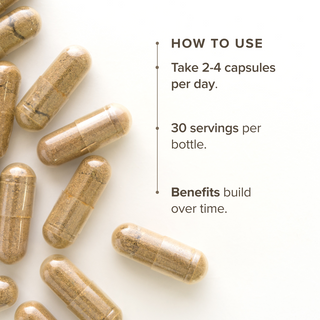 Reishi Mushroom Capsules (120 Capsules)