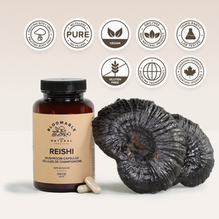 Reishi Mushroom Capsules (120 Capsules)