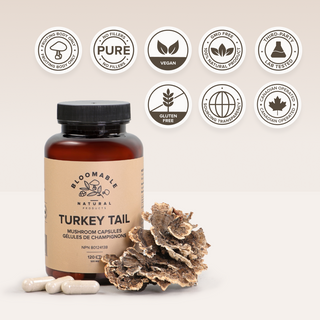 Turkey Tail Mushroom Capsules (120 Capsules)