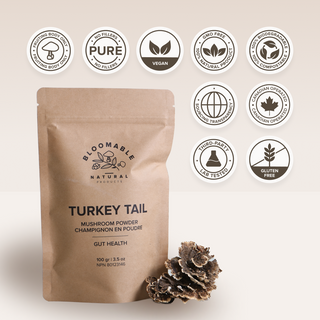 Turkey Tail Mushroom Powder (100 gr)