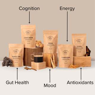 Bloomable Mushroom Bundle - Lion's Mane, Turkey Tail, Reishi, Chaga and Cordyceps Mushroom Powders (100 g each) - Bloomable Natural Products