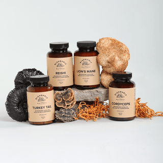 Bloomable Mushroom Capsule Bundle - Lion's Mane, Turkey Tail, Reishi, and Cordyceps Mushroom Powder Capsules (120 capsules) - Bloomable Natural Products