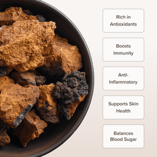 Canadian Chaga Mushroom Powder (100 gr) - Bloomable Natural Products