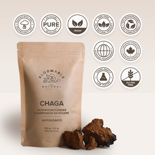 Canadian Chaga Mushroom Powder (100 gr) - Bloomable Natural Products