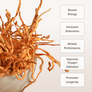 Cordyceps Mushroom Powder (100 gr) - Bloomable Natural Products