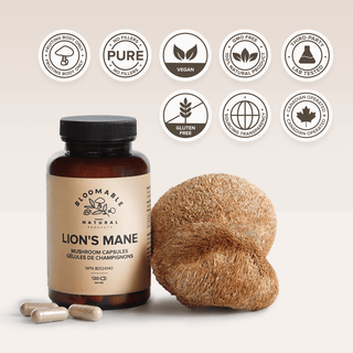 Lion's Mane Mushroom Capsules (120 Capsules) - Bloomable Natural Products