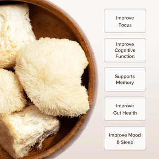 Lion's Mane Mushroom Powder (100 gr) - Bloomable Natural Products