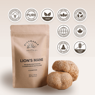 Lion's Mane Mushroom Powder (100 gr) - Bloomable Natural Products