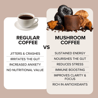 Mushroom Coffee with Lion's Mane, Reishi, Chaga, and L - Theanine (30 servings) - Bloomable Natural Products