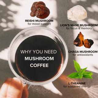 Mushroom Coffee with Lion's Mane, Reishi, Chaga, and L - Theanine (30 servings) - Bloomable Natural Products