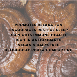 Reishi & L - Theanine Hot Cacao - Bloomable Natural Products