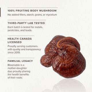 Reishi Mushroom Powder (100 gr) - Bloomable Natural Products