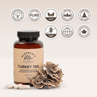 Turkey Tail Mushroom Capsules (120 Capsules) - Bloomable Natural Products