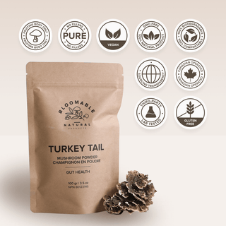 Turkey Tail Mushroom Powder (100 gr) - Bloomable Natural Products